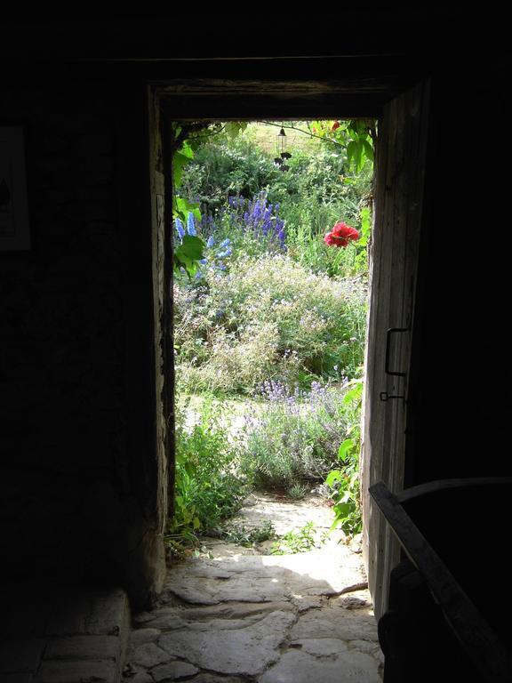 Chambres D'Hotes Le Moulin De Barre Vigoulant Exteriér fotografie
