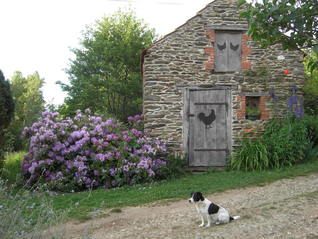 Chambres D'Hotes Le Moulin De Barre Vigoulant Exteriér fotografie